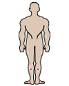 Targets your feet and legs
