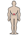 Targets your lower back